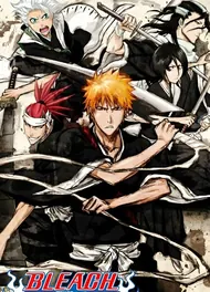 Bleach, 2004